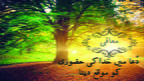 L58 SC29 Forgiveness Releasing God's Presence UR